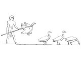 Egyptian herdsman tending geese